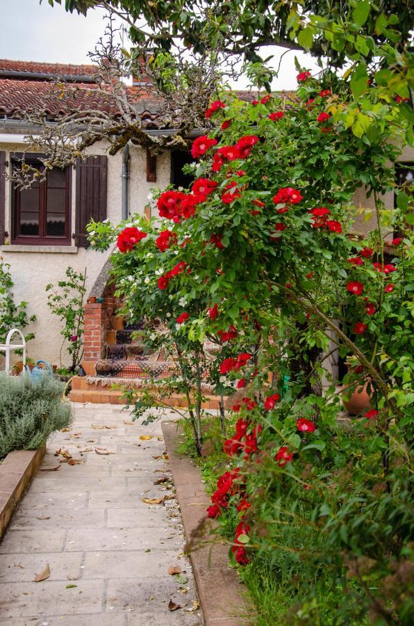 La Petite Pierrette Apartman Saint-Benoit-de-Carmaux Kültér fotó
