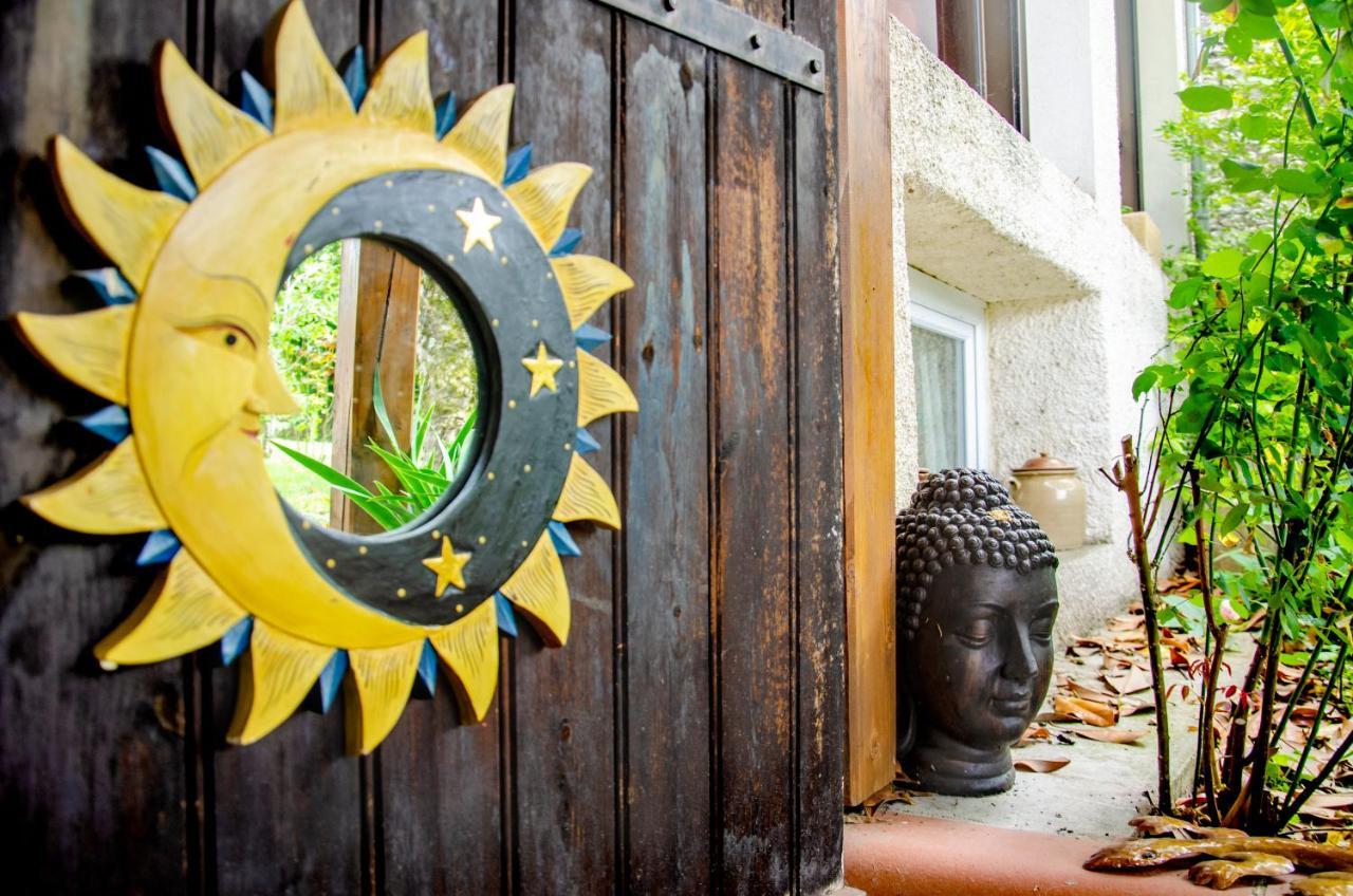 La Petite Pierrette Apartman Saint-Benoit-de-Carmaux Kültér fotó